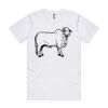 AS Colour - Classic Tee Thumbnail